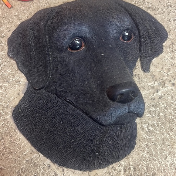 Black Labrador Stepping Stone 🪨 - Picture 2 of 8